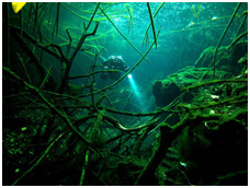 Mexico Cave Diver Training